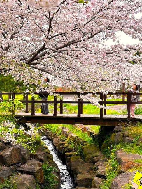 Jeju West Small Group Tour Cherry Blossom Strawberry Picking - Key Points