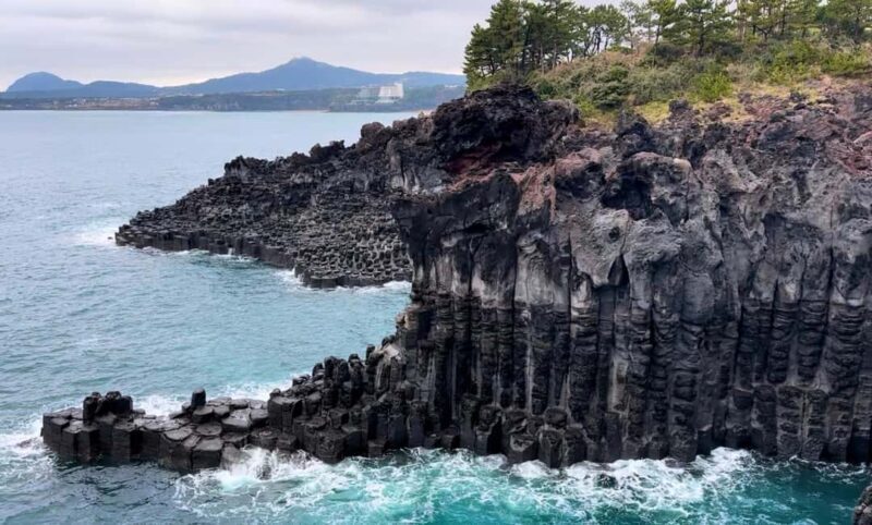 Jeju West Small Group Tour Cherry Blossom Strawberry Picking - FAQ