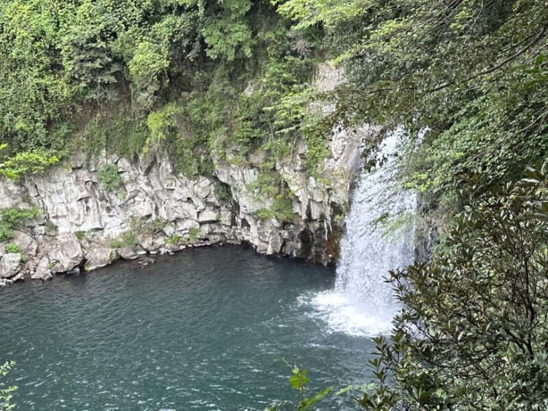 Jeju West Small Group Tour Cherry Blossom Strawberry Picking - Final Thoughts