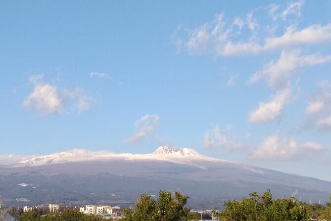 Jeju West Small Group Tour with Lunch and Tangerine Picking - FAQ