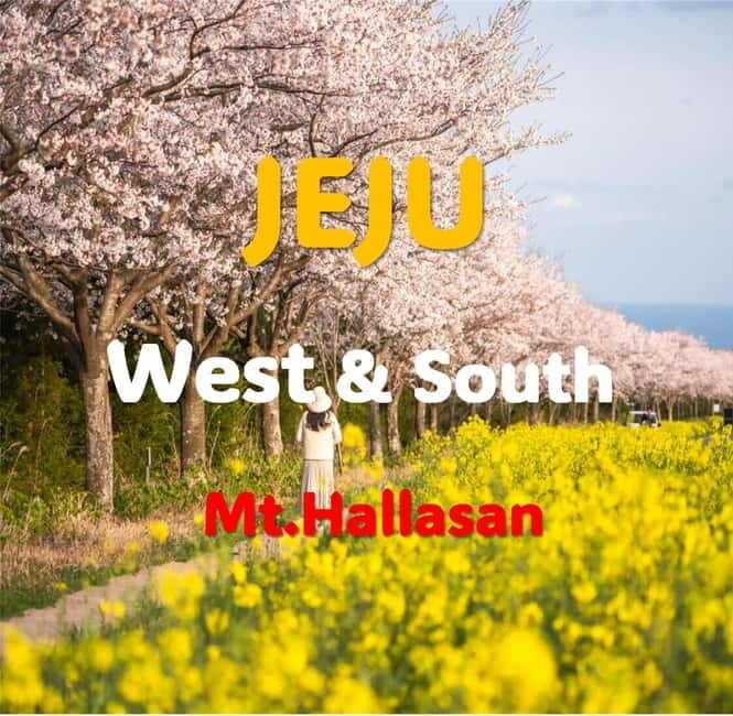 Jeju: Western and Southern Sightseeing Day Tour - FAQ
