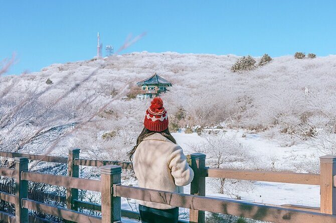 Jeju WEST&SOUTH One Day Tour with MT.halla & UNESCO - What to Expect on the Day