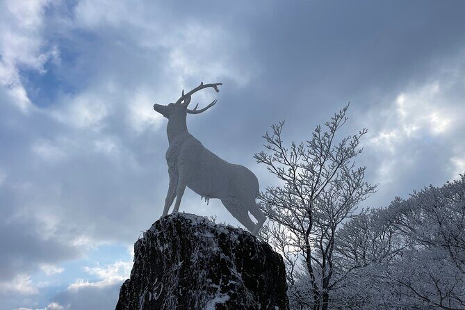 Jeju WEST&SOUTH One Day Tour with MT.halla & UNESCO - Frequently Asked Questions (FAQs)