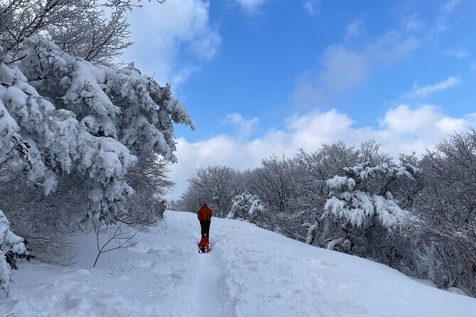 Jeju WEST&SOUTH One Day Tour with MT.halla & UNESCO - Final Thoughts