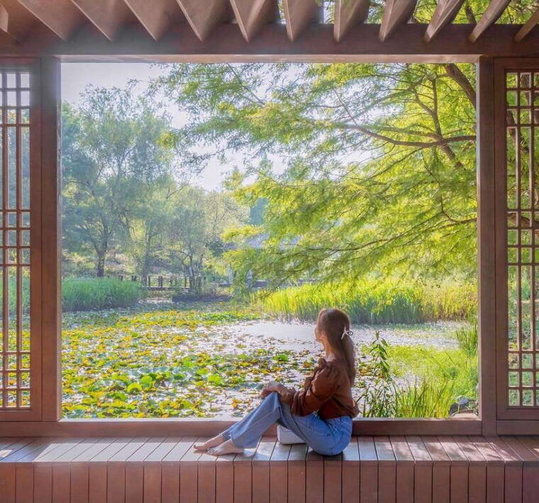 jeonju-hanok-village-and-arboretum-flower-festival