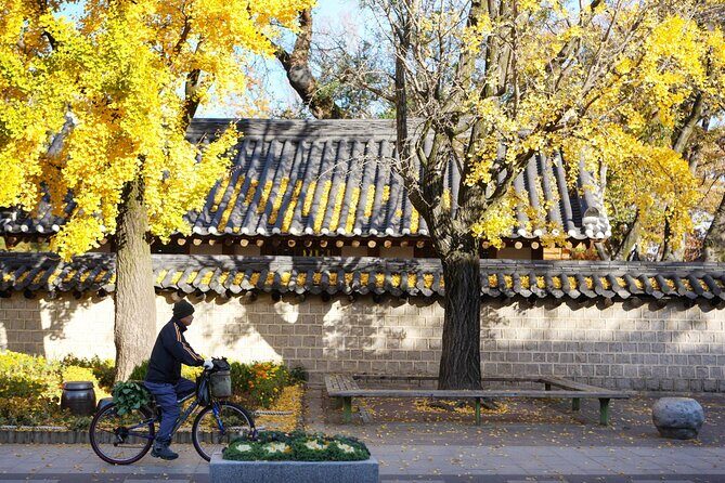 Jeonju Hanok Village and Arboretum with Seasonal Flower festival - Who Is This Tour Best Suited For?