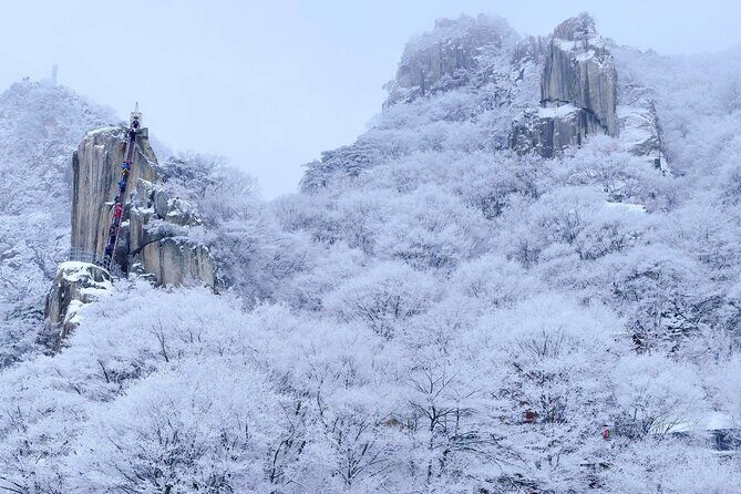 Jeonju Hanok Village and Daedunsan Serenity Nature Tour - What Is Included and What to Prepare For