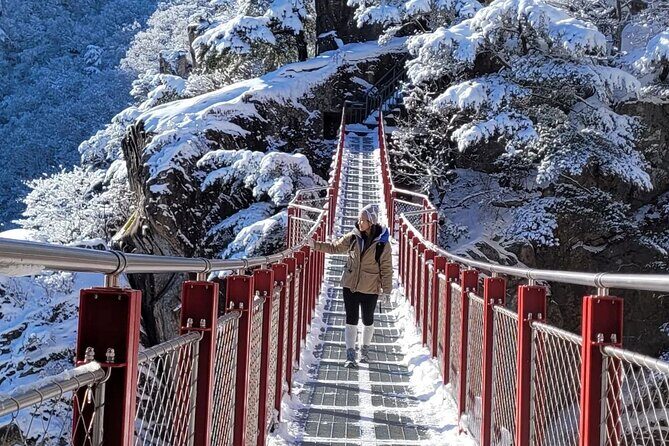 Jeonju Hanok Village and Daedunsan Serenity Nature Tour - Final Thoughts