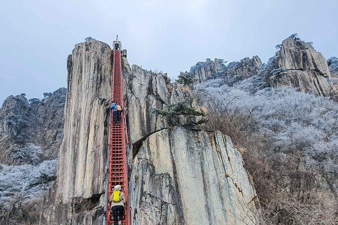 Jeonju Hanok Village and Daedunsan Serenity Nature Tour - Who Would Love This Tour?