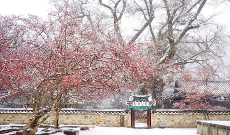 Jeonju Hanok Village and Daedunsan Serenity Nature Tour - An In-Depth Look at the Tour Experience