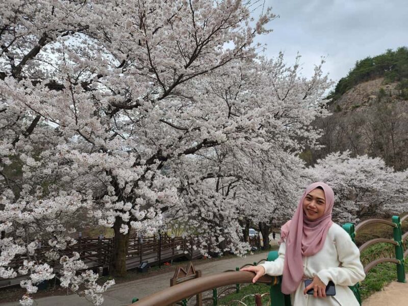 Jeonju Hanok Village and Maisan Tapsa Temple Tour From Seoul - Practicalities & What to Expect