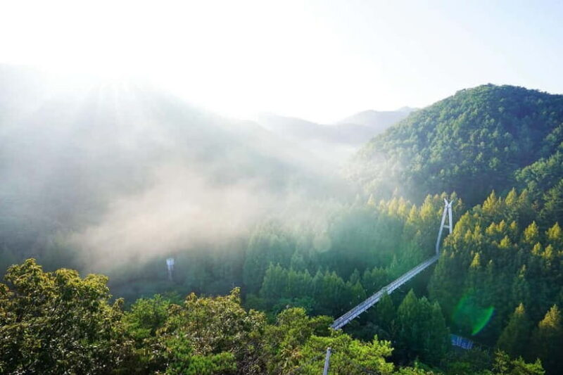 Jeonju Hanok Village Full-Day Tour:Jangtaesan Autumn Foliage - Starting Point and Transportation