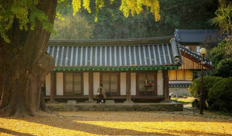 Jeonju Hanok Village Full-Day Tour:Jangtaesan Autumn Foliage - Guided Tour Experience
