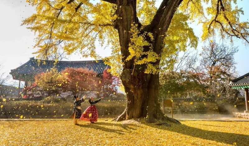 Jeonju Hanok Village Full-Day Tour:Jangtaesan Autumn Foliage - Value and Cost
