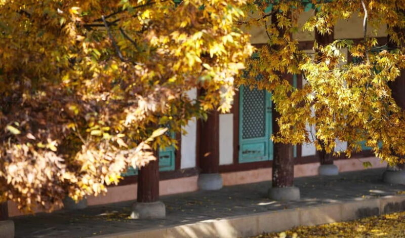 Jeonju Hanok Village Full-Day Tour:Jangtaesan Autumn Foliage - Practical Tips from Travelers