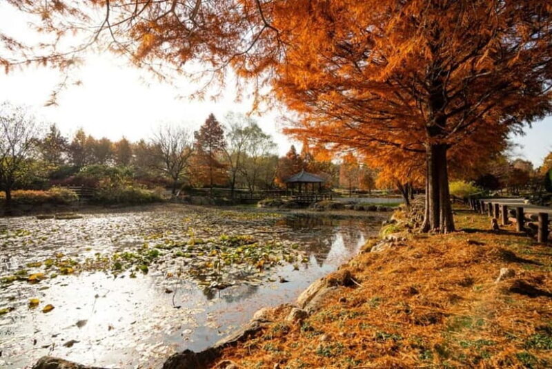 Jeonju: Private Taxi Tour Car Charter - FAQ