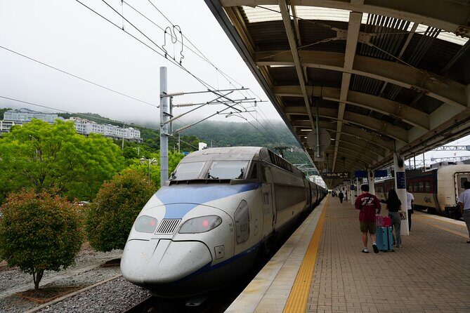 Jeonju & Yeosu: 4-Day Foodie & Artist Journey - Who Would Love This Experience?