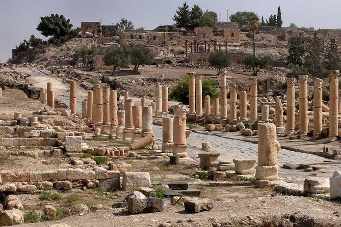 Jerash, Ajloun, and Umm Quais Full-Day Tour - Who Will Love This Tour?