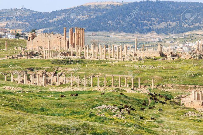 Jerash & Ajloun Private tour - Who Will Love This Tour?