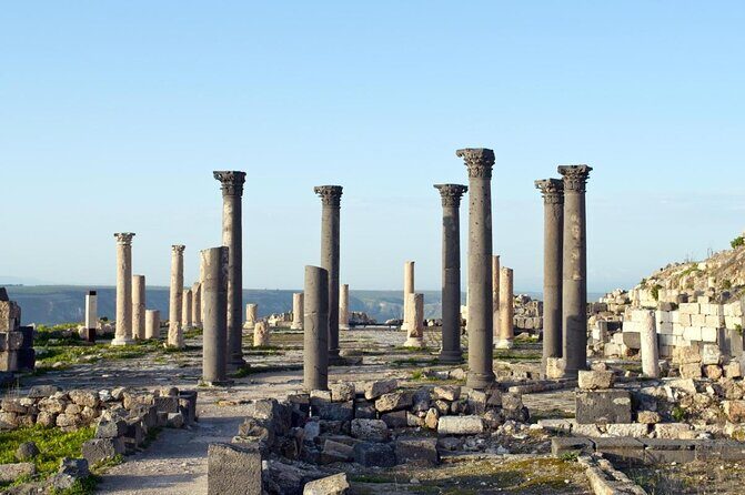 Jerash, Ajloun, Umm Qais Day Trip - Key Points  