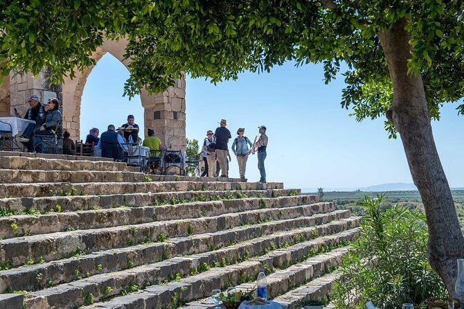 Jerash, Ajloun & Umm Qais Private tour - Final Thoughts