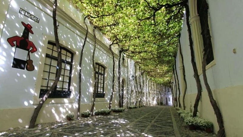 Jerez: 1.5-Hour Sherry Winery and Tasting Tour - Value and Practical Considerations
