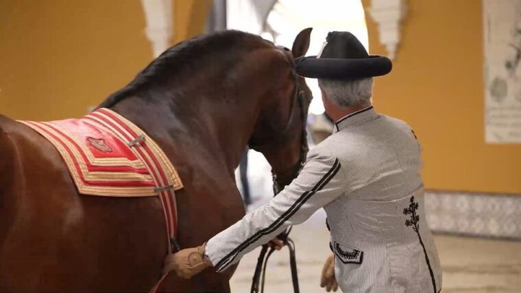 jerez-and-cadiz-private-tour-from-seville