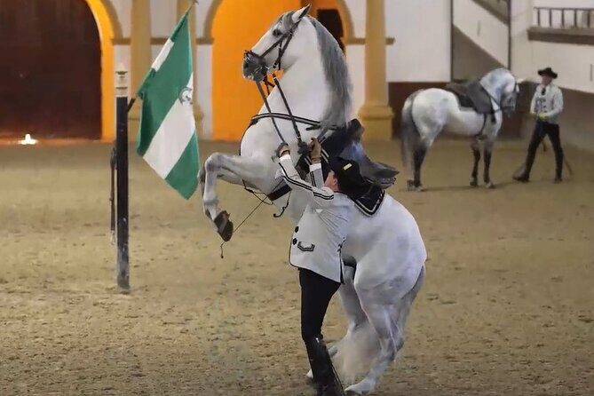 Jerez & Cadiz Winery with Tasting & Opt Horse Show from Seville - Itinerary Breakdown