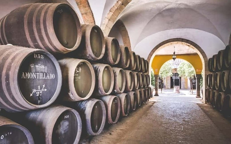 Jerez City Guided Tour and Winery Visit - Who Will Love This Experience?