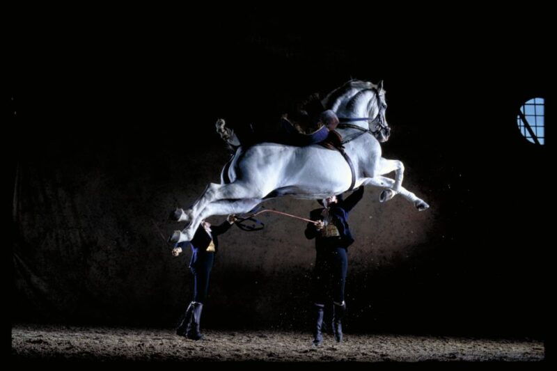 jerez-de-la-frontera-andalusian-horse-dance-and-museums