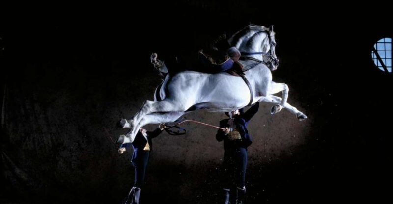 jerez-de-la-frontera-andalusian-horse-dance-and-museums