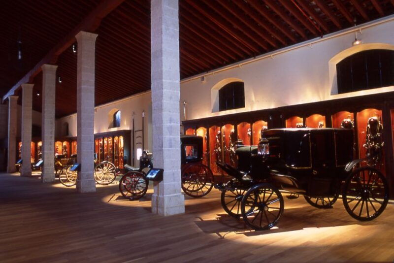 jerez-de-la-frontera-andalusian-horse-dance-and-museums