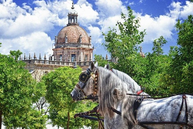 jerez-de-la-frontera-history-and-art-walking-tour