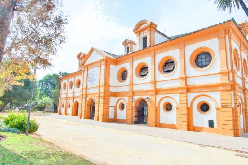jerez-de-la-frontera-how-the-andalusian-horses-dance