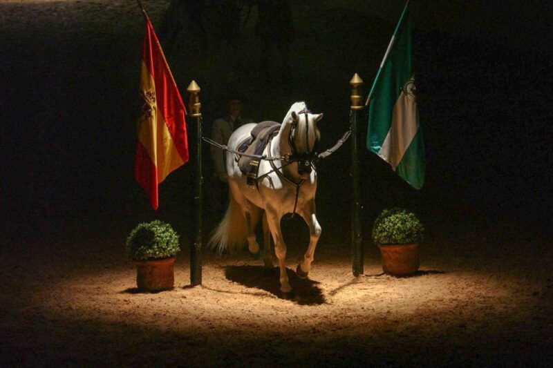 jerez-de-la-frontera-how-the-andalusian-horses-dance