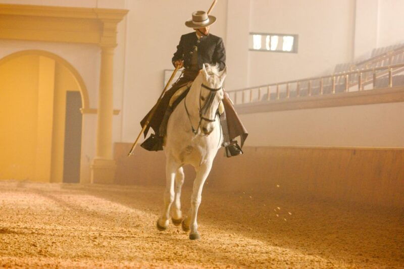 jerez-de-la-frontera-how-the-andalusian-horses-dance