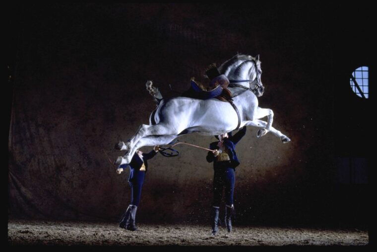 jerez-de-la-frontera-how-the-andalusian-horses-dance