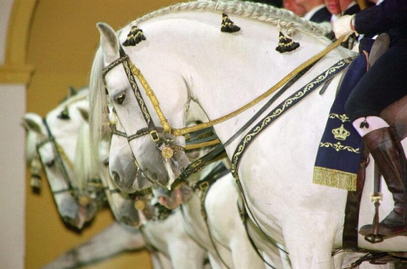 jerez-historic-center-of-jerez-and-horse-show