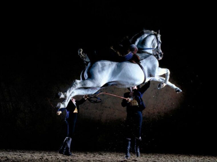 jerez-private-tour-from-seville-wine-and-equestrian-art