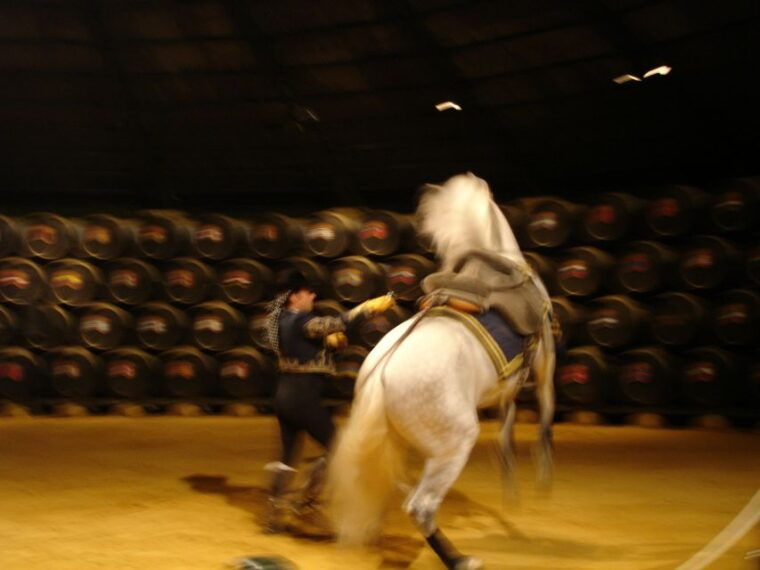 jerez-private-tour-from-seville-wine-and-equestrian-art