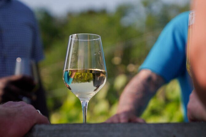 Jersey Premium Vineyard and Distillery Wine Tour and Tasting - Jersey Premium Vineyard and Distillery Wine Tour and Tasting: An Authentic Sip of the Islands