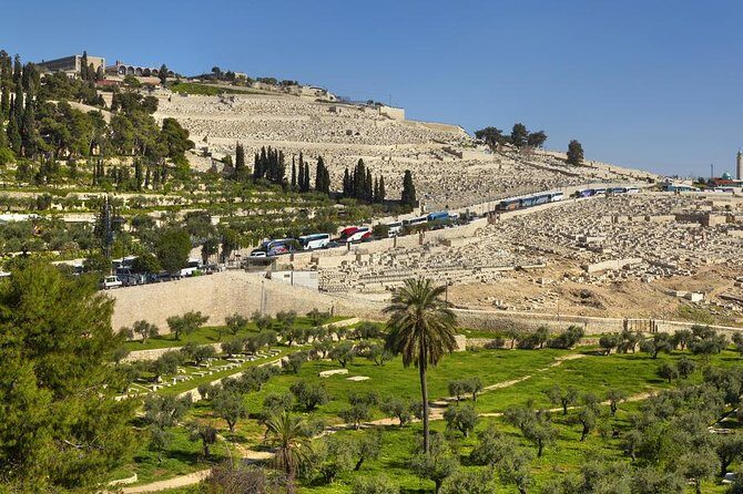Jerusalem Half-Day Tour from Tel Aviv: Holy Sepulchre and Western Wall - Who Is This Tour Best For?