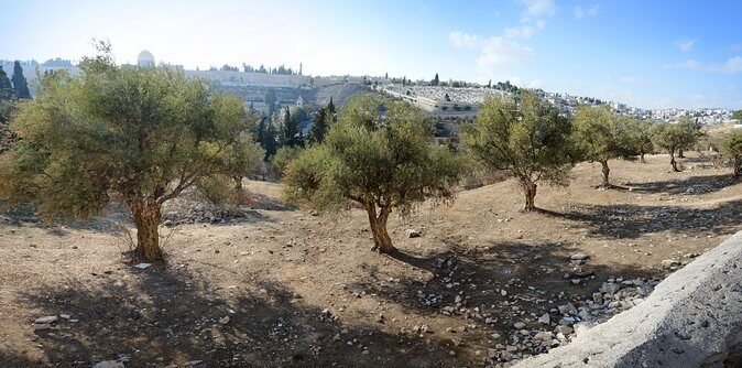 Jerusalem Old City from Tel Aviv - FAQ