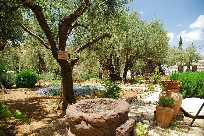 Jerusalem Old City & Mount Zion Day Tour - Key Points