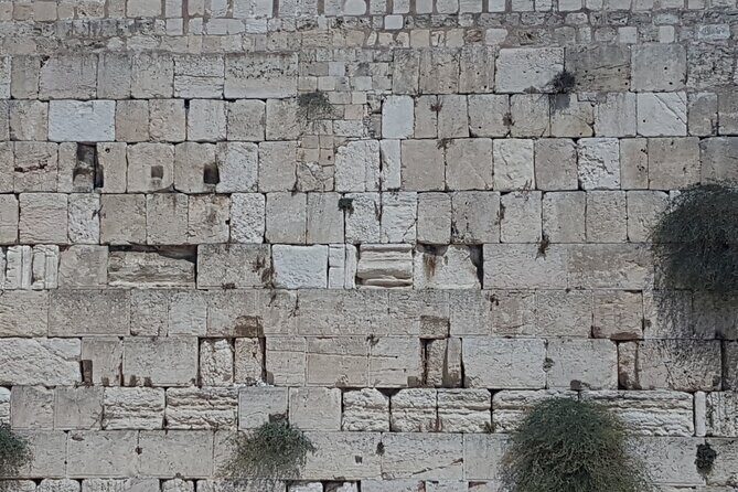 Jerusalem Private Full Day Tour - The Tomb of Mary and the Golden Gates