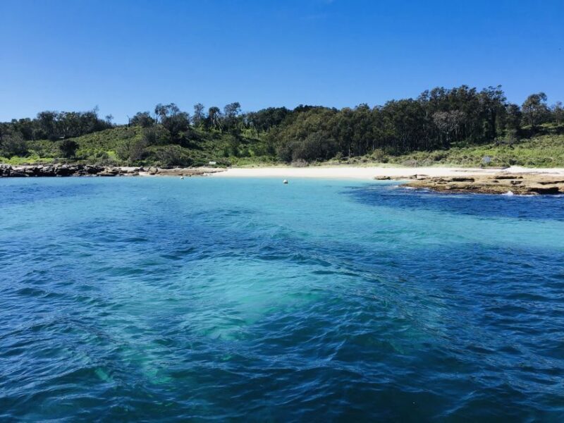 Jervis Bay: 2-Hour Cruise of Jervis Bay Passage - Key Points