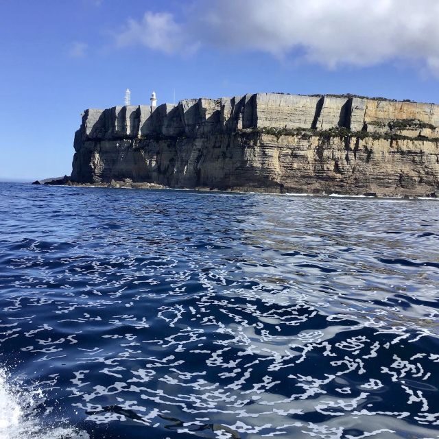 Jervis Bay: 2-Hour Cruise of Jervis Bay Passage - The Itinerary and What to Expect