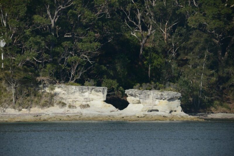 Jervis Bay: 2-Hour Cruise of Jervis Bay Passage - The Experience of Reviews: Authentic Insights