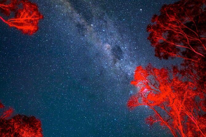 Jervis Bay Beach Stargazing Tour with our Astronomer - Why This Tour Is Worth It
