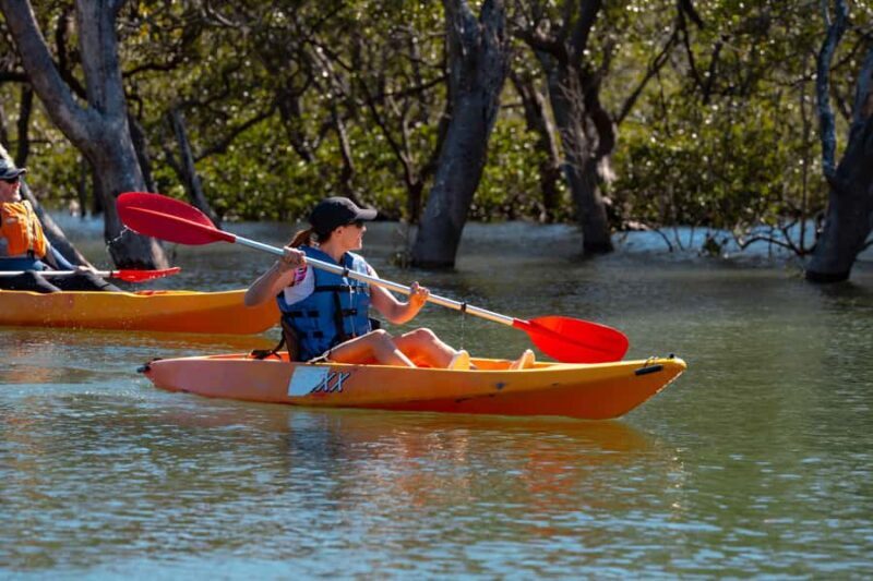 Jervis Bay: Currambene Creek Kayak Tour with Guide - Is This Tour Worth It?
